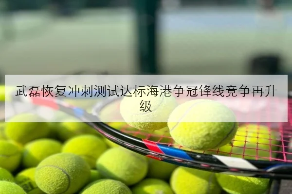 武磊恢复冲刺测试达标海港争冠锋线竞争再升级